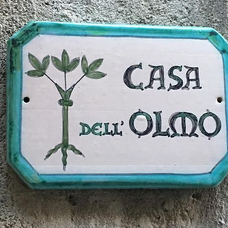 Casa Dell'Olmo Apartment Orvieto Exterior photo